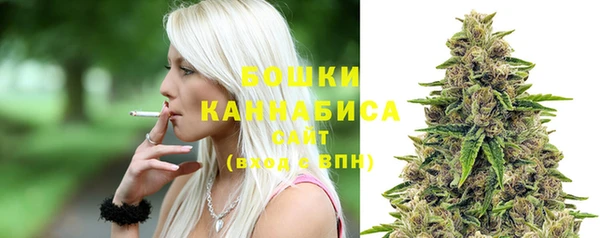 ECSTASY Новозыбков