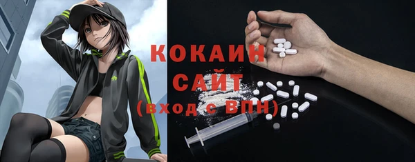 шишки Новокубанск