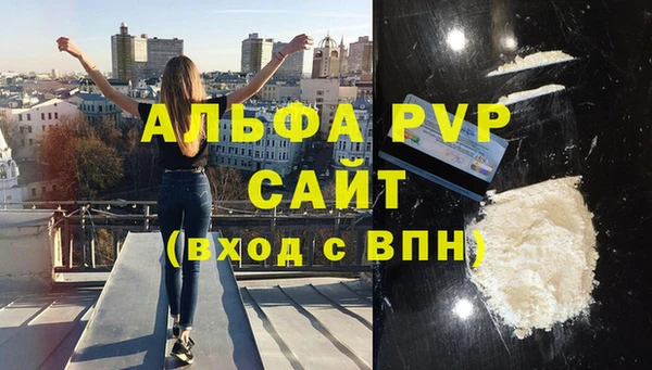 ECSTASY Новозыбков