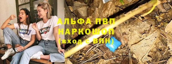 шишки Новокубанск