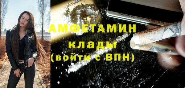 шишки Новокубанск