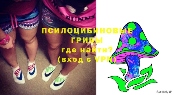 ECSTASY Новозыбков