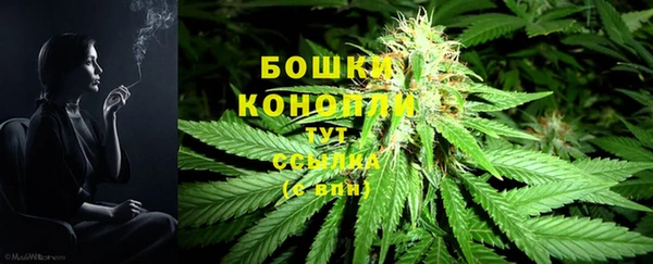 трава Валуйки